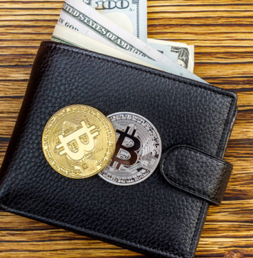 Como Elegir Una Billetera De Bitcoin: 4 Tipos De Monederos Criptográficos como-elegir-la-mejor-billetera-bitcoin