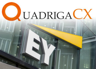 Ernst and Young (EY) anuncian $500,000 en perdidas por QuadrigaCX Exchange Ernst and Young (EY) anuncian $500,000 en perdidas por QuadrigaCX Exchange