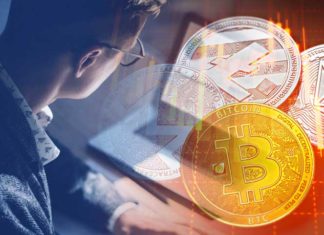 Nueva Encuesta Revela Que Profesionales Están Mas Seguros De La Eficacia De Bitcoin Y Se Enfocan En Acumulación profesionales-estan-seguron-de-bitcoin-y-se-enfocan-en-acumulacion